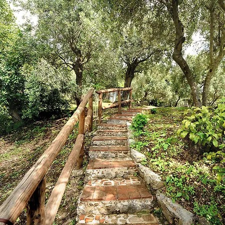 Frühstückspension La Torretta Maratea